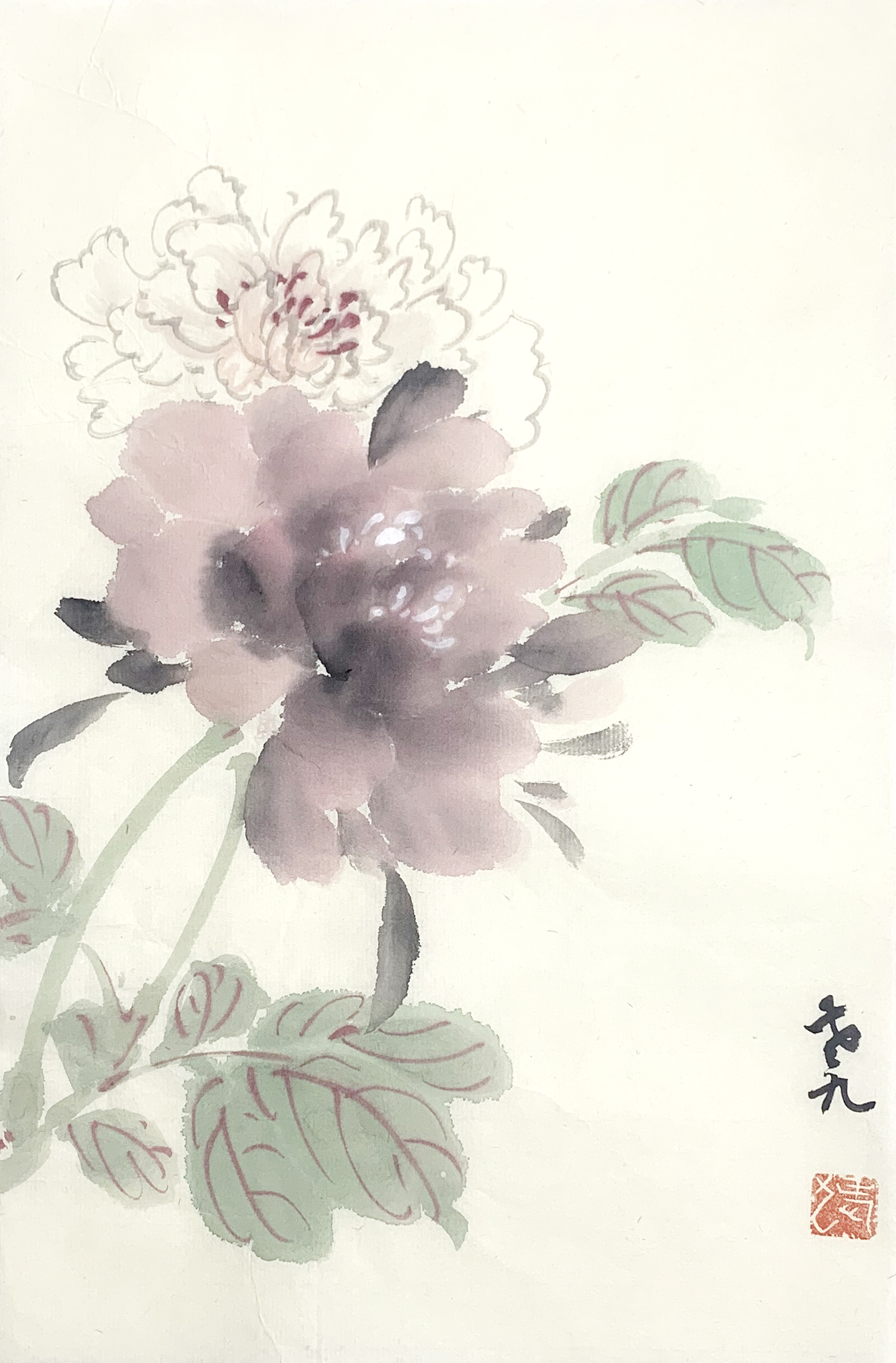 牡丹