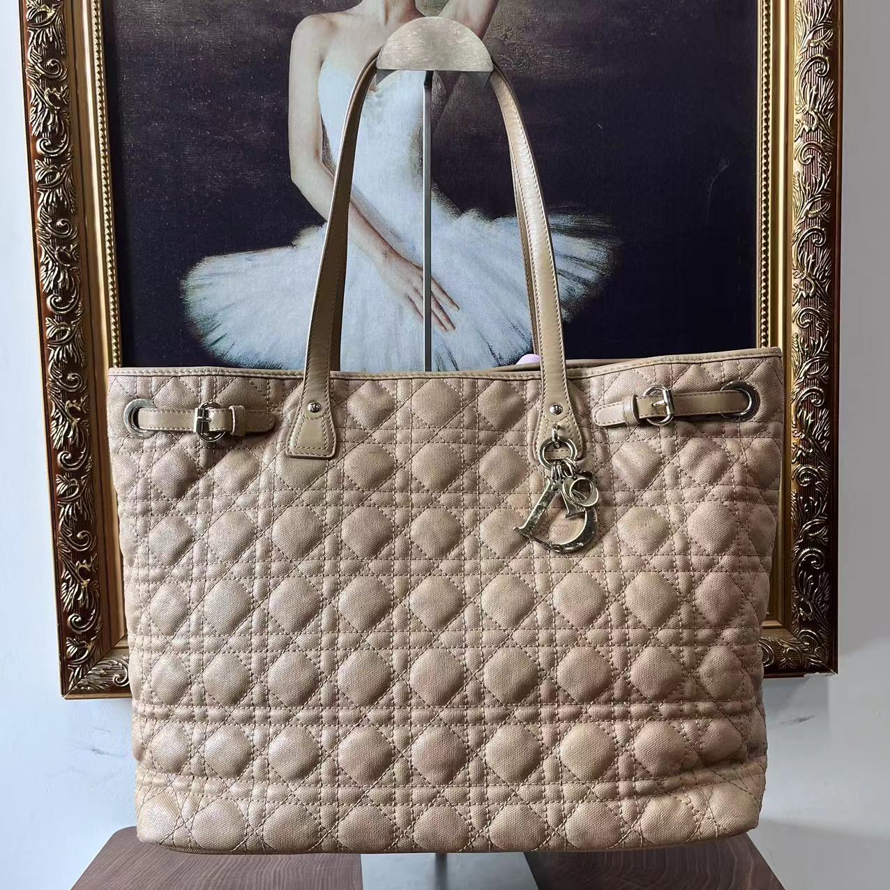 95新 Dior/迪奥 dior单肩包/82209
