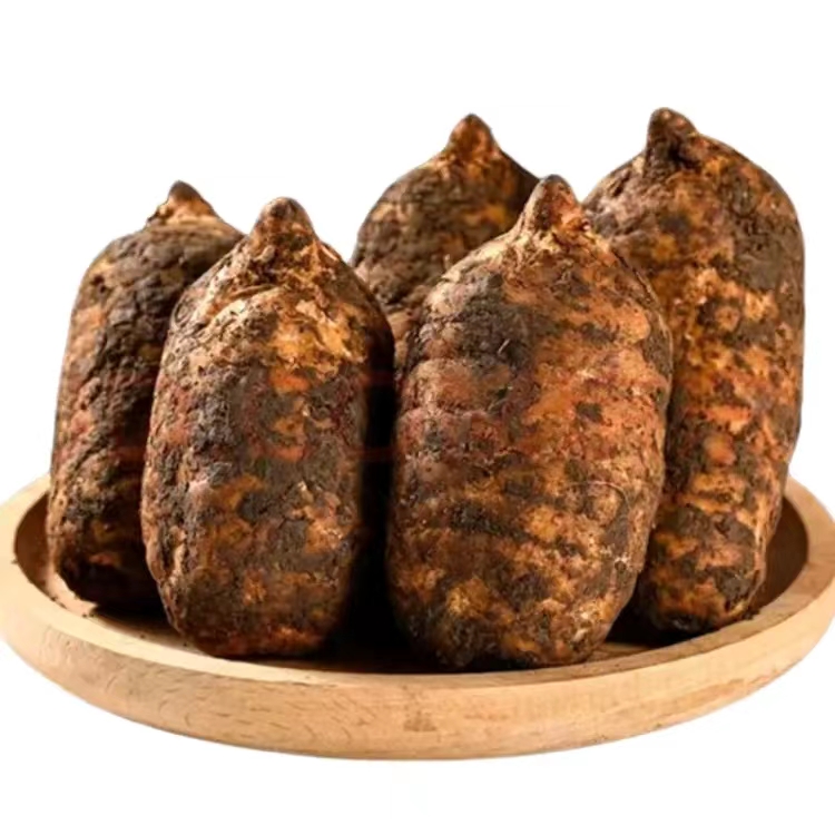 2025热（新鲜湿天乌麻）云南昭通彝良小草坝现挖现发煲汤泡酒蒸蛋斤