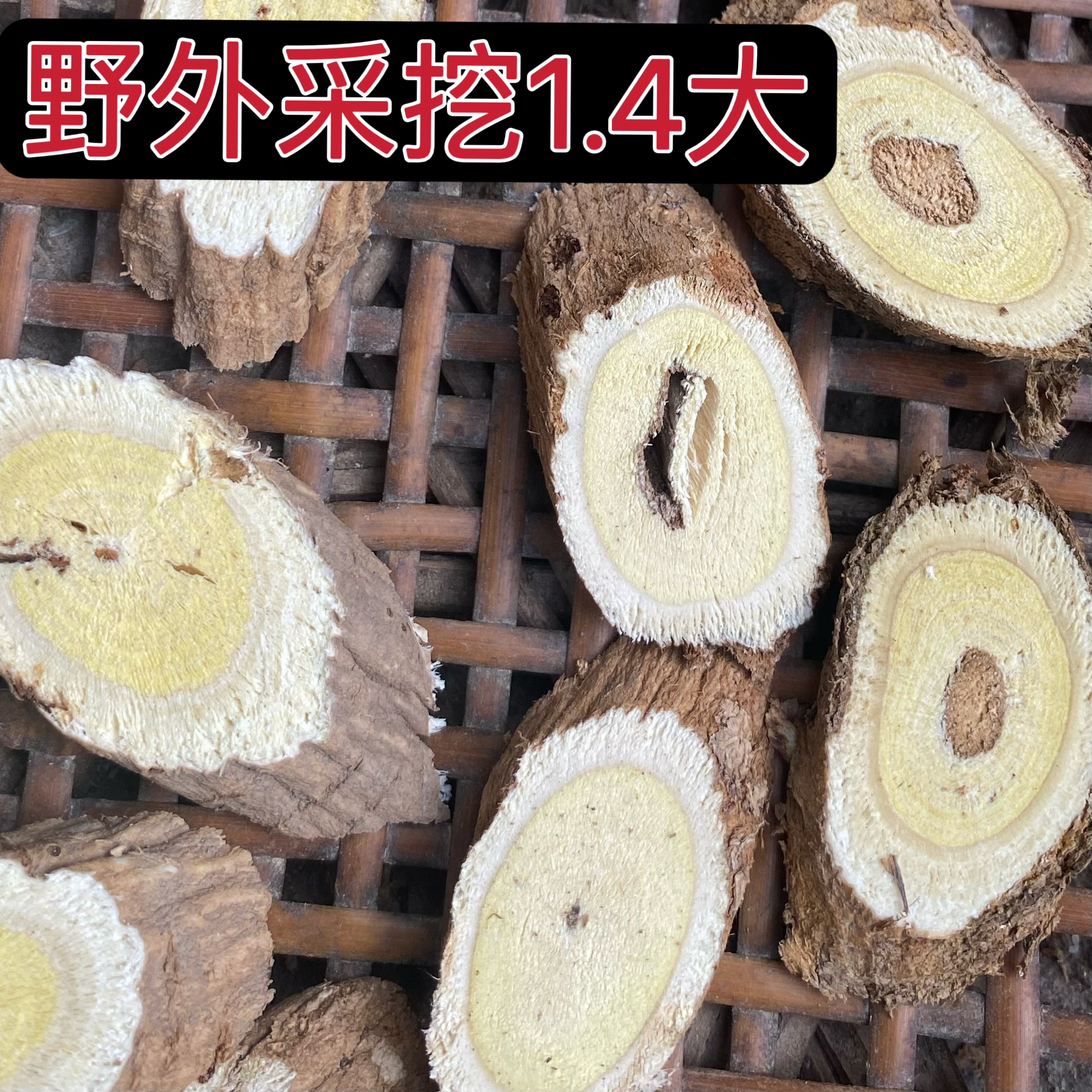 甘肃野外采挖多年生1.4左右大500克包邮