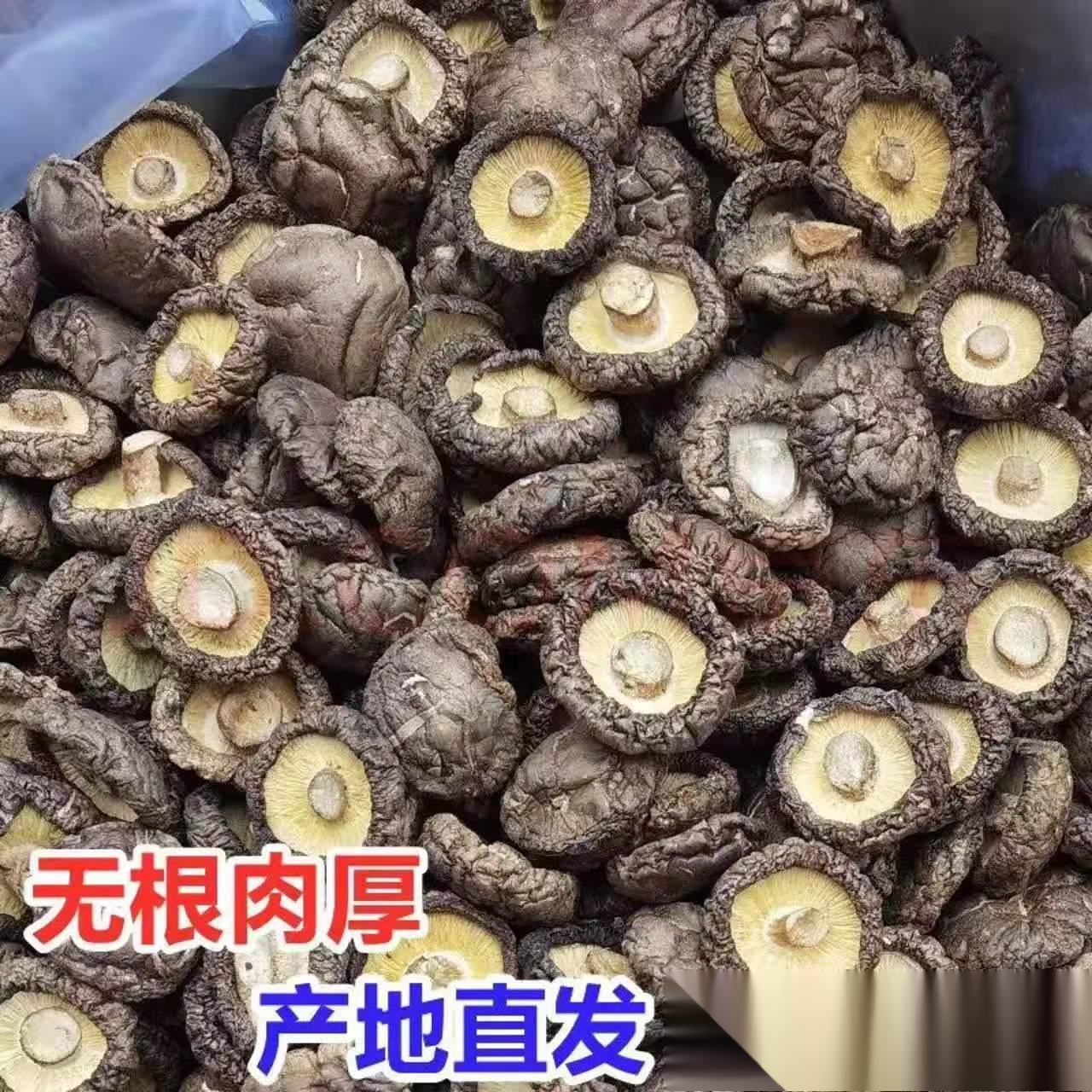 香菇干货散装一斤包邮商用新鲜西峡特级干香菇小冬菇蘑菇香茹葱1g