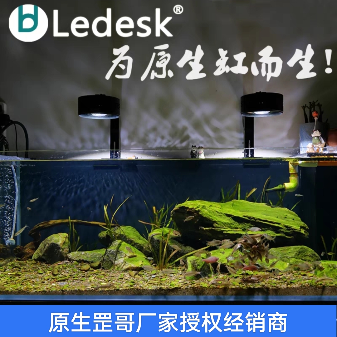 乐迪LED原生态流溪缸灯 爆藻金鱼出苔灯 三湖全光谱鱼缸灯 带支架