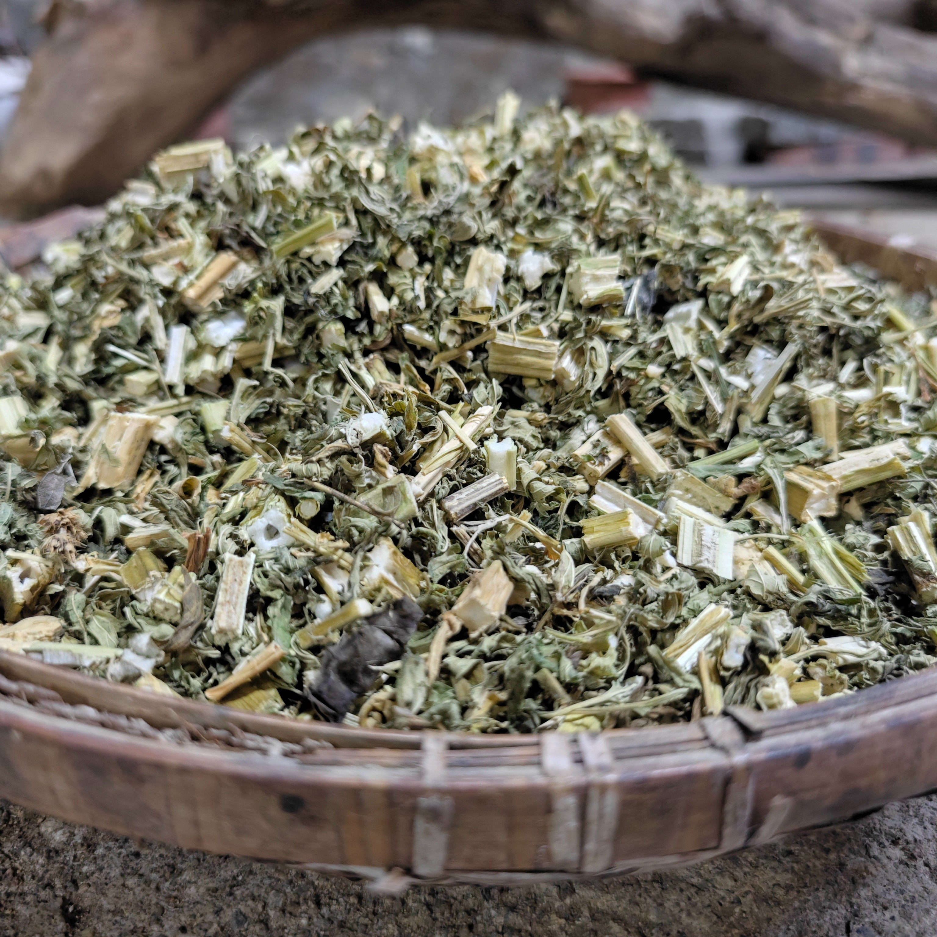 野生溢母草广东龙门新鲜干货溢母草250克包邮