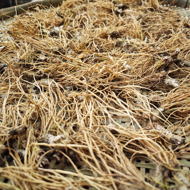 地胆头广东龙门地胆草根茎煲汤食材干货250克500克包邮