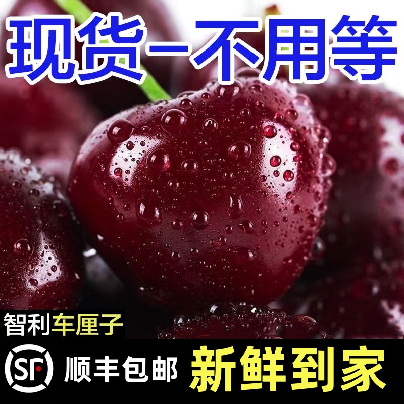 【江南】智利进口车厘子2-5斤1-4J孕妇新鲜脆甜多汁售后无忧