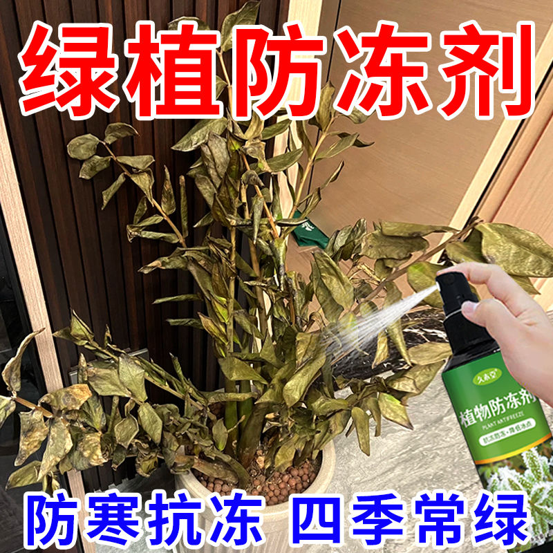 植物防冻剂兰花多肉君子兰花卉防冻抗寒冻后修复补充营养绿植通用
