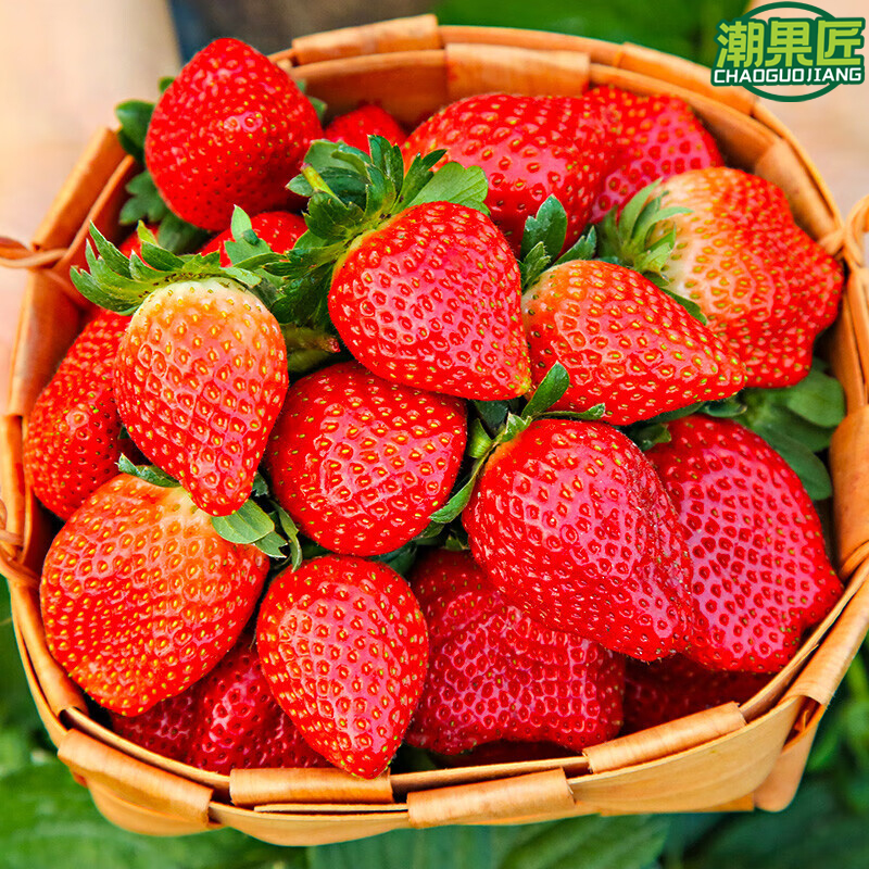 潮果匠新鲜草莓1斤