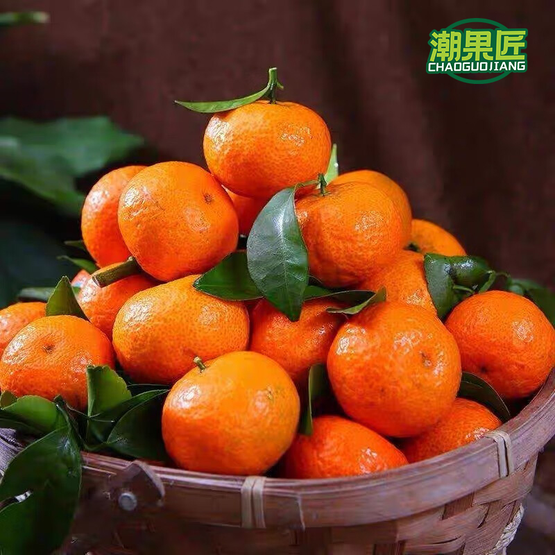 潮果匠砂糖桔 5斤装