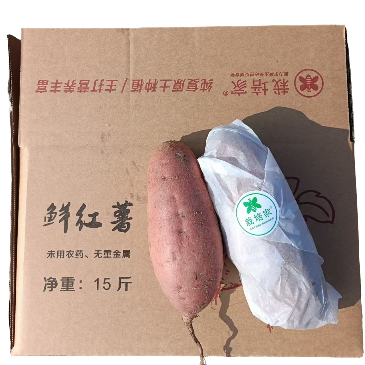 复原型红薯/纯复原种植土种植/有机之上的探索/原生态