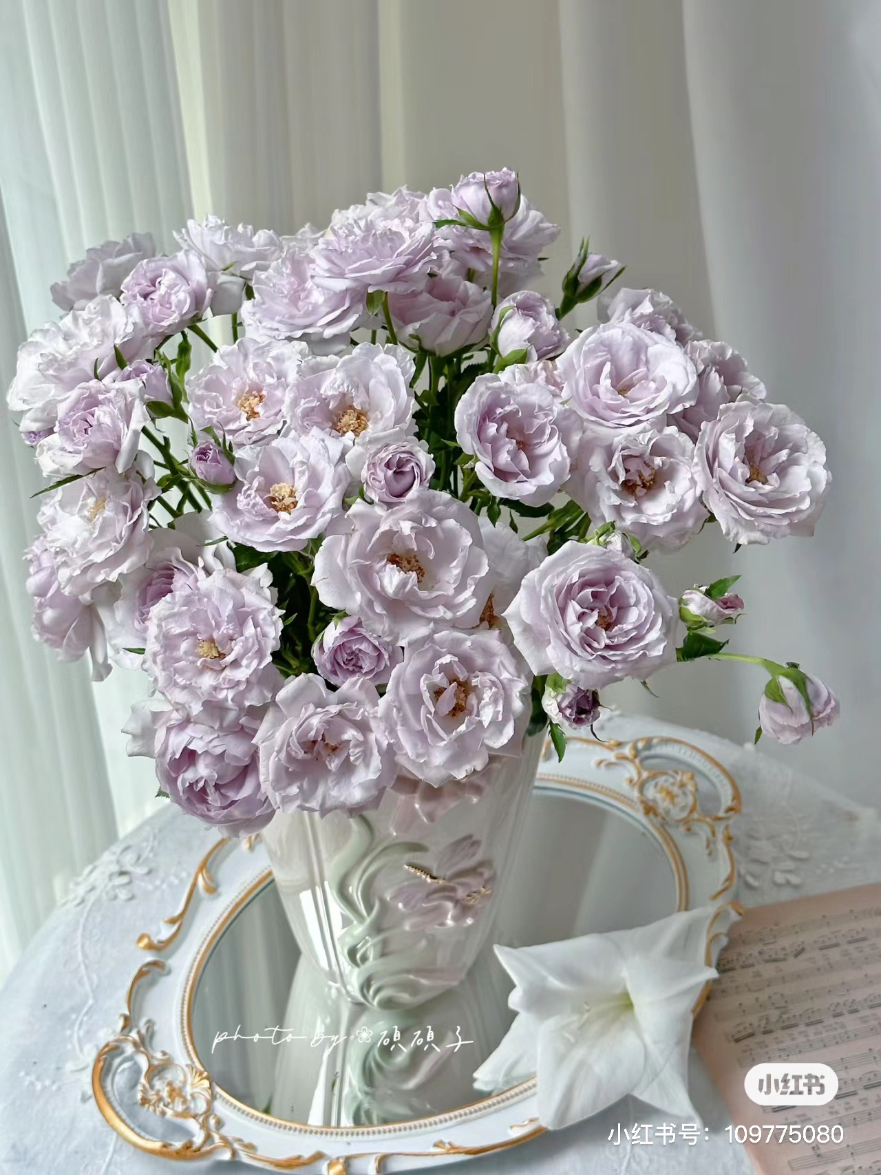 【花甜悦夏优选】薰衣草多头玫瑰（百分之十不售后2个订单包邮