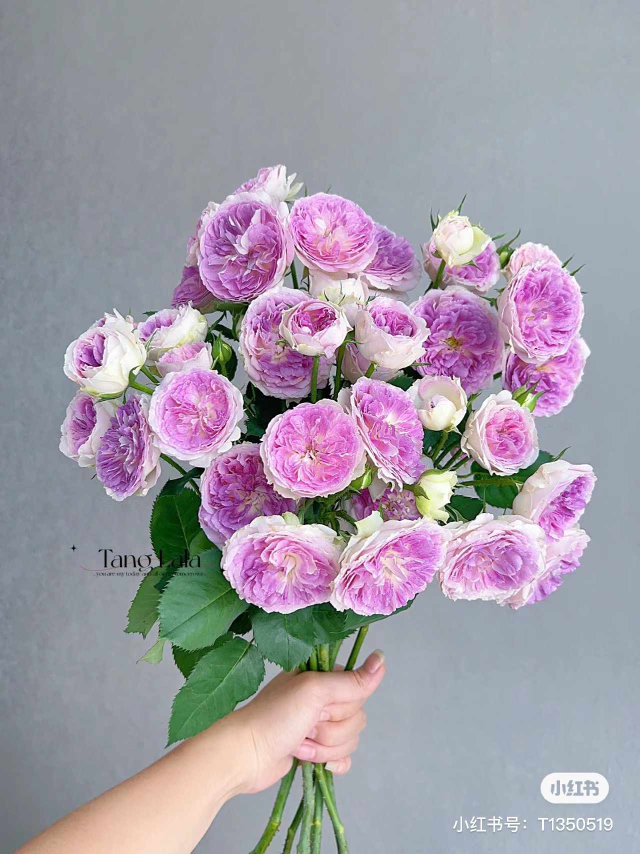 【花甜悦夏优选】蓝月石多头玫瑰（百分之十不售后2个订单包邮