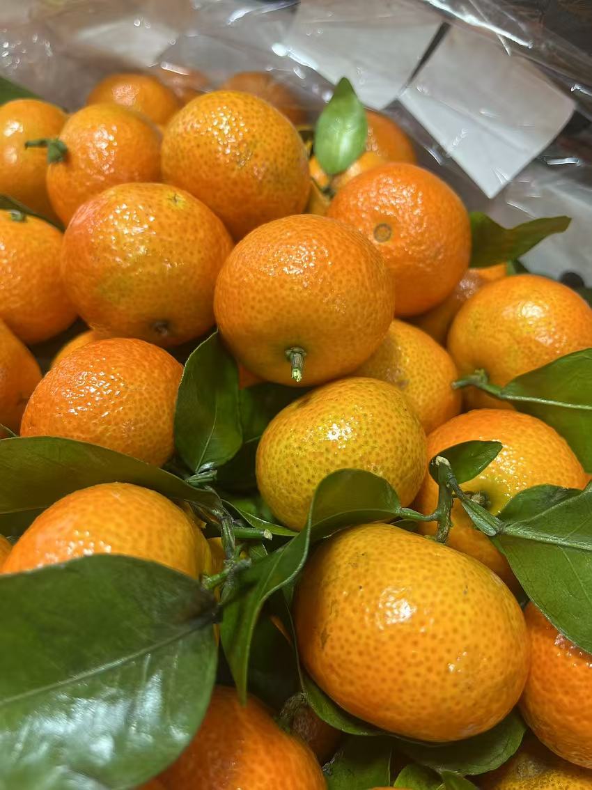 沙糖桔10元一斤