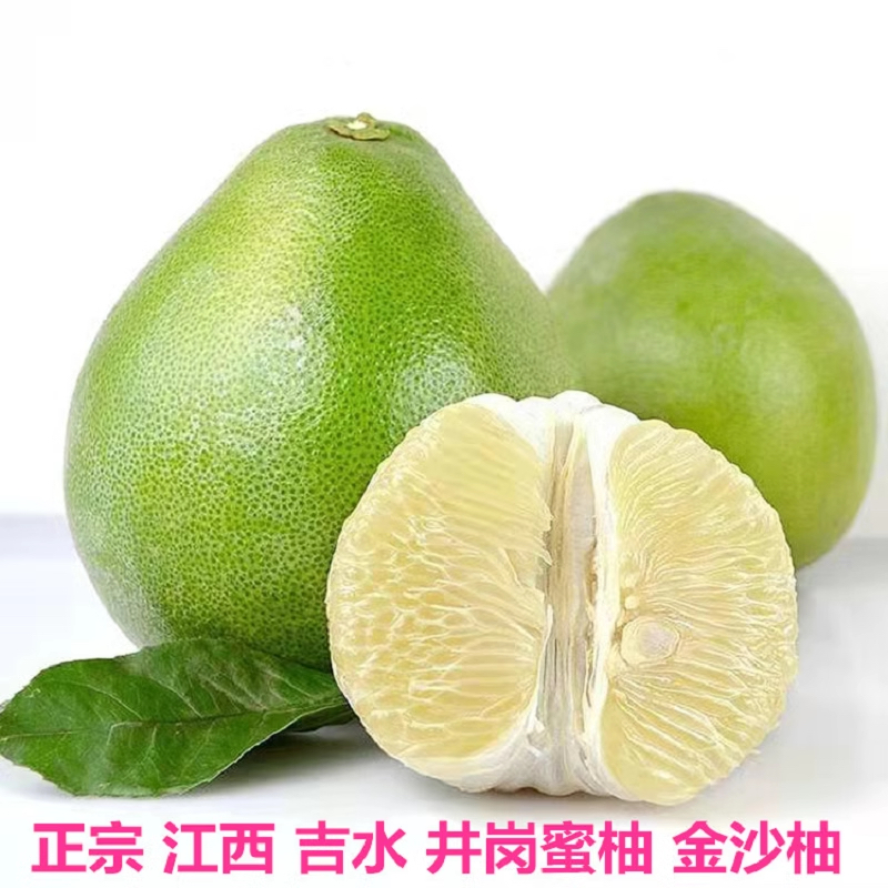【深漂阿树】正宗江西井冈蜜柚金沙柚白心多汁皮薄纯甜无酸产地现发