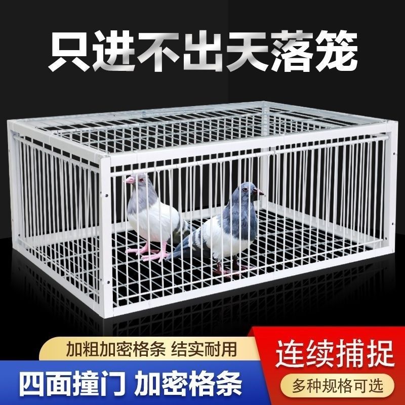 【小扬哥推荐】鸟笼加密只进不出鸽子笼天落笼撞门笼防锈全自动收