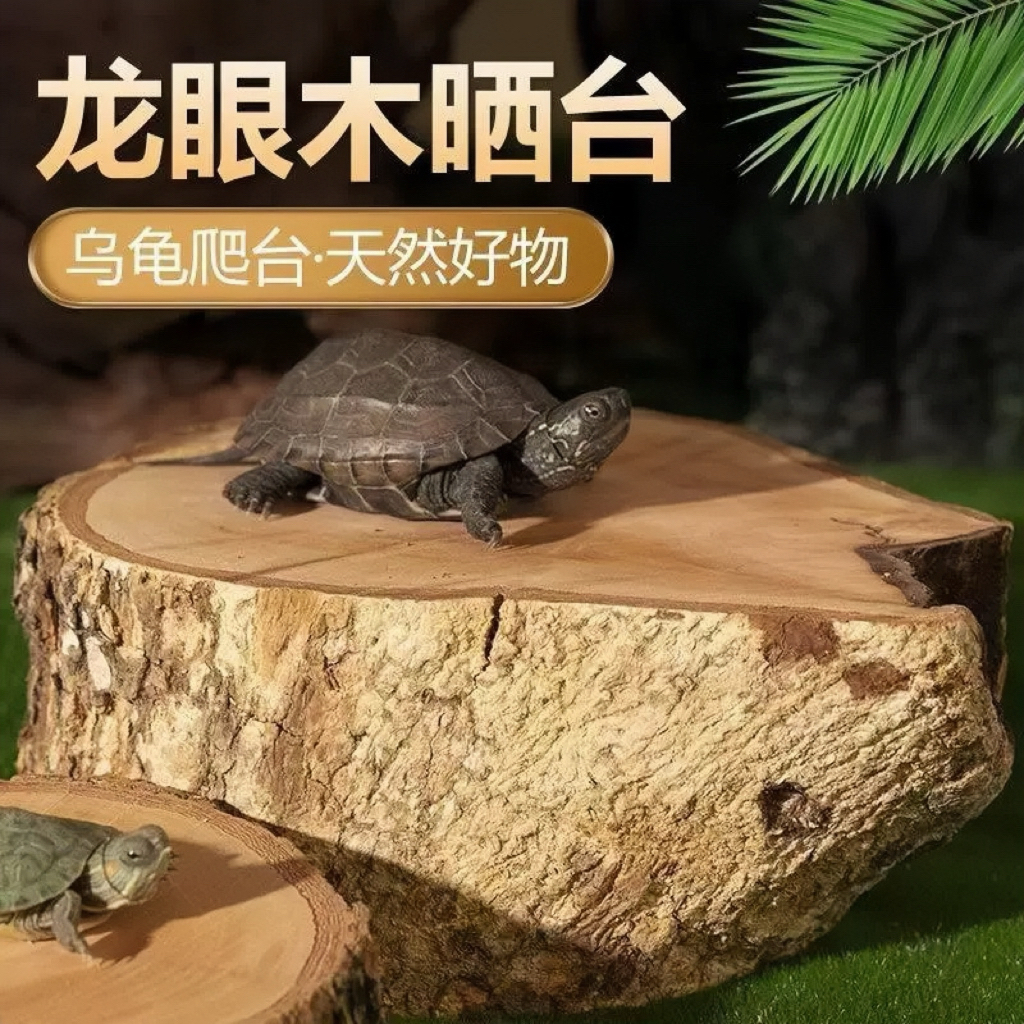 乌龟晒背台爬台天然龙眼木墩龟缸装饰防烂甲腐皮调节水质造景沉木