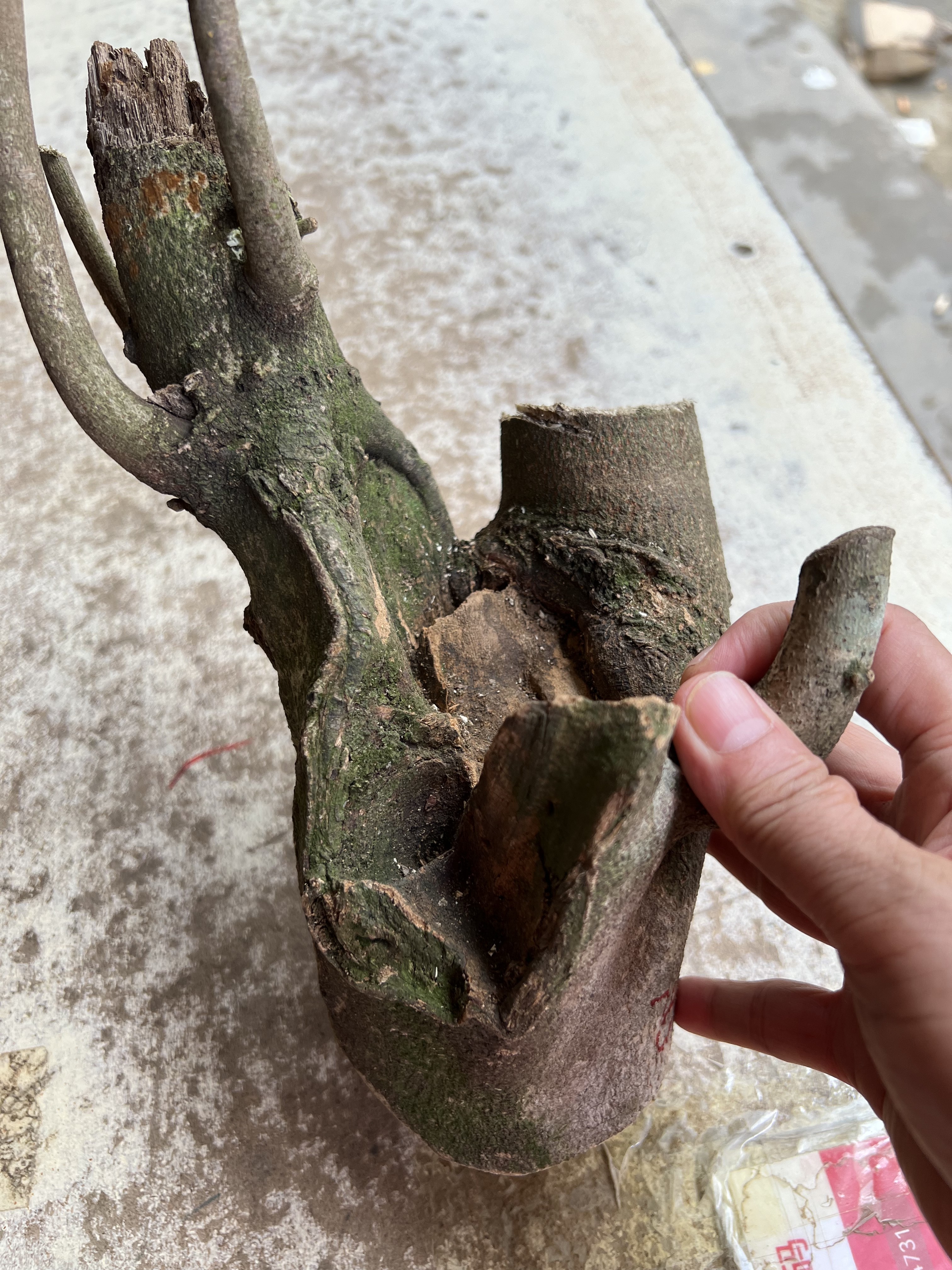 沉香摆件、家居香薰、香薰香料、线香