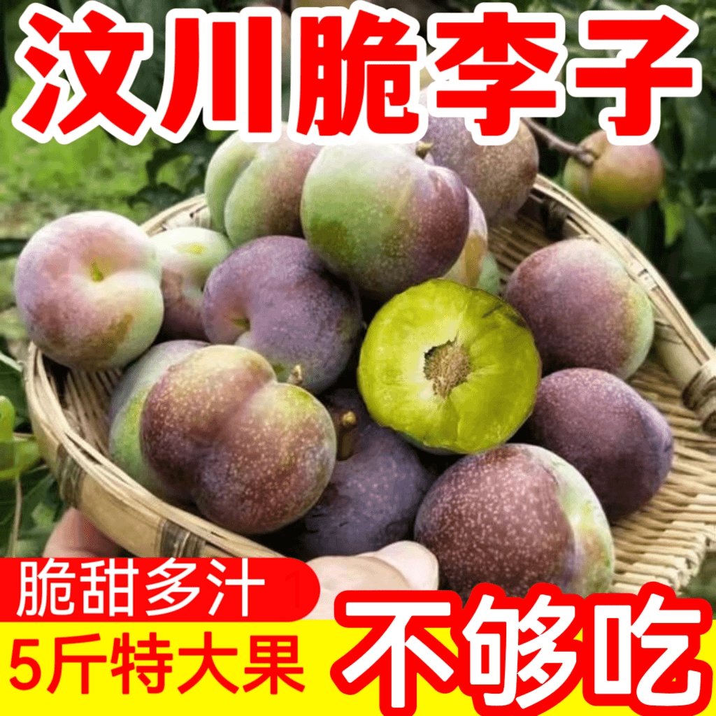 四川脱骨李子9斤新鲜水果巫山脆李当季青脆李整箱半边红茵李限秒