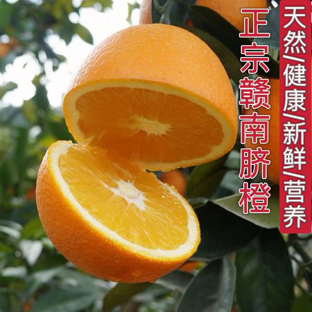 正宗赣南脐橙精品橙子多汁应季水果自然成熟新鲜采摘产地高山助农