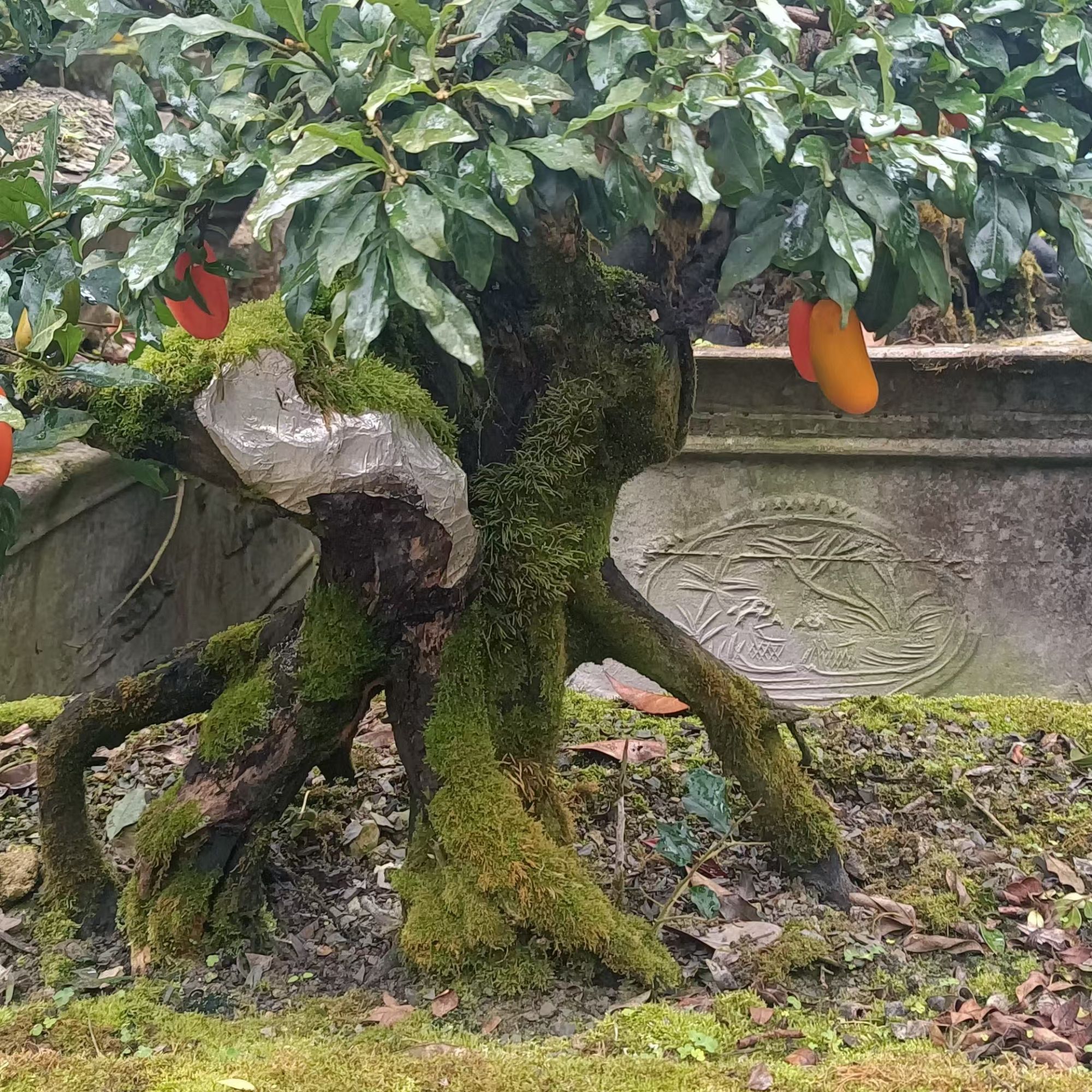 桩子600 桩子600 桩子600