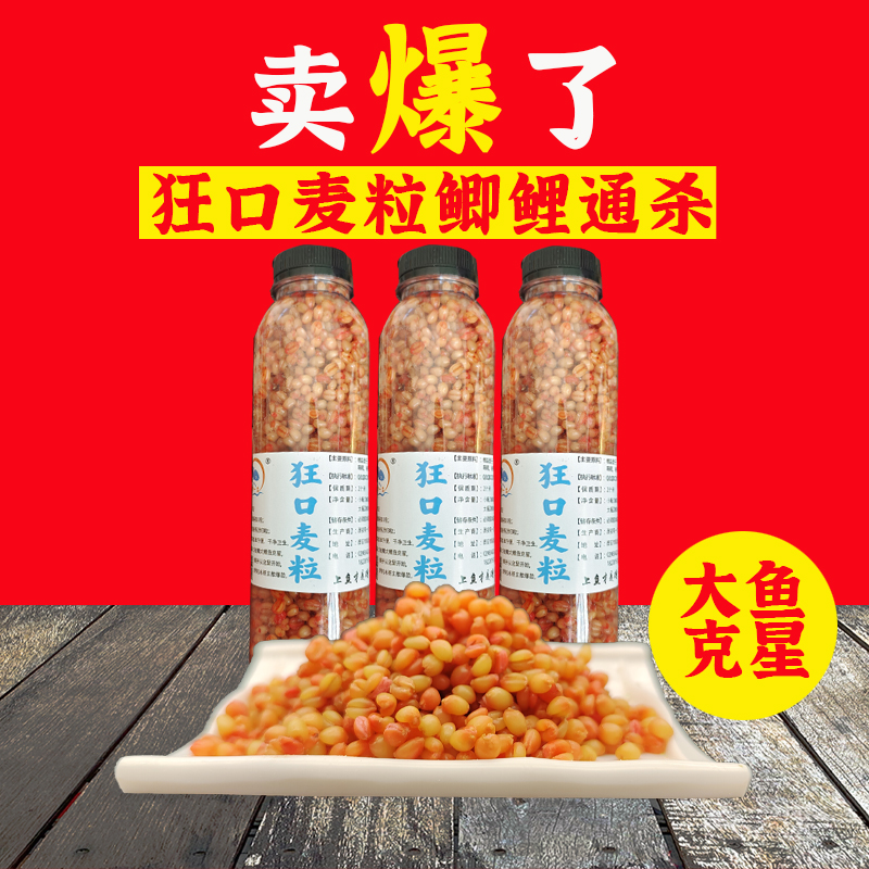 谷麦钓鱼发酵麦粒中药秘制麦子大鱼克星江河湖库狂诱野钓黑坑通用