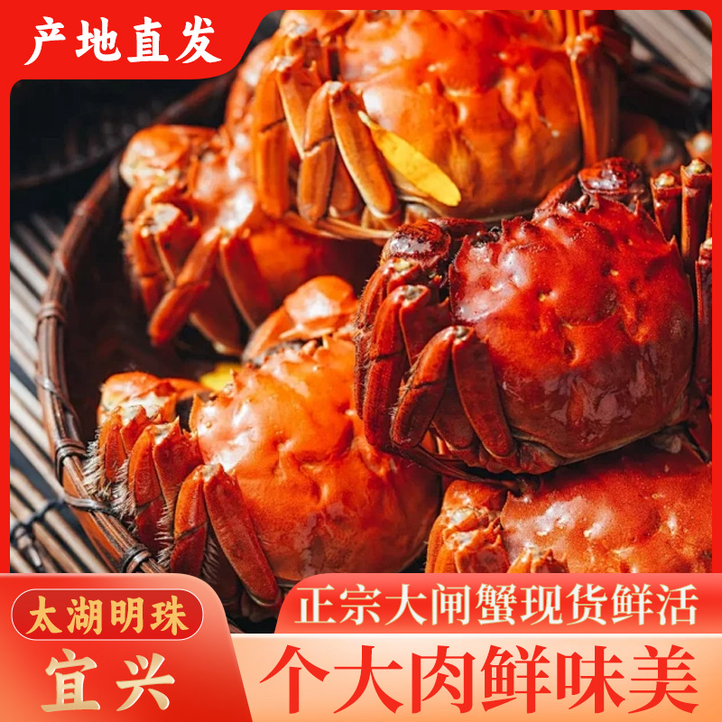 【活蟹现发】山力农场全母蟹九指2.8-3.0两共10只