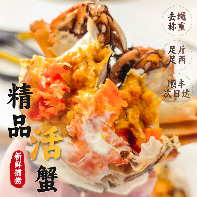 【活蟹现发】兴化大闸蟹全母蟹3.3～3.8两平均3.5两8＋2 10只塘口直发