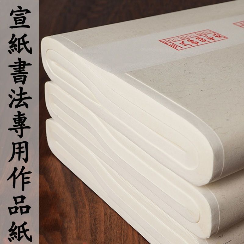 加厚宣纸书法专用纸生宣熟宣半生半熟国画工笔画初学者书法练习纸