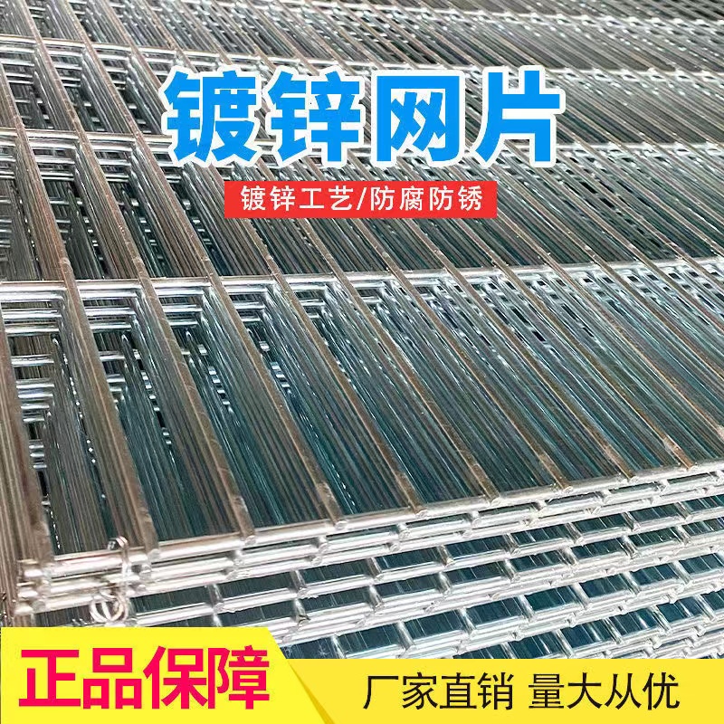 大尺寸2*10孔鸽舍地网 狗笼底网 镀锌网片镀锌防腐耐久结实耐冲撞