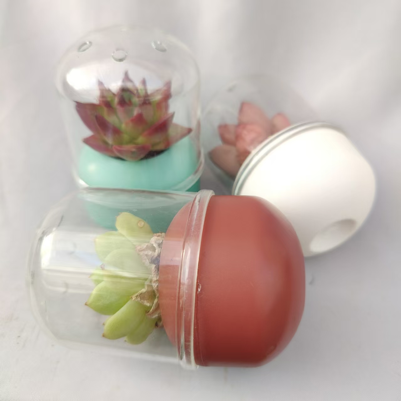 【设计师专享】无土多肉盆器--胶囊（3个）