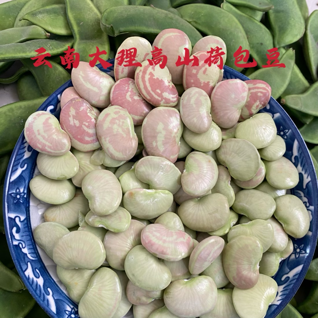 云南大理高山农家带壳荷包豆虎纹豆鲜美3/5斤现摘现发批发