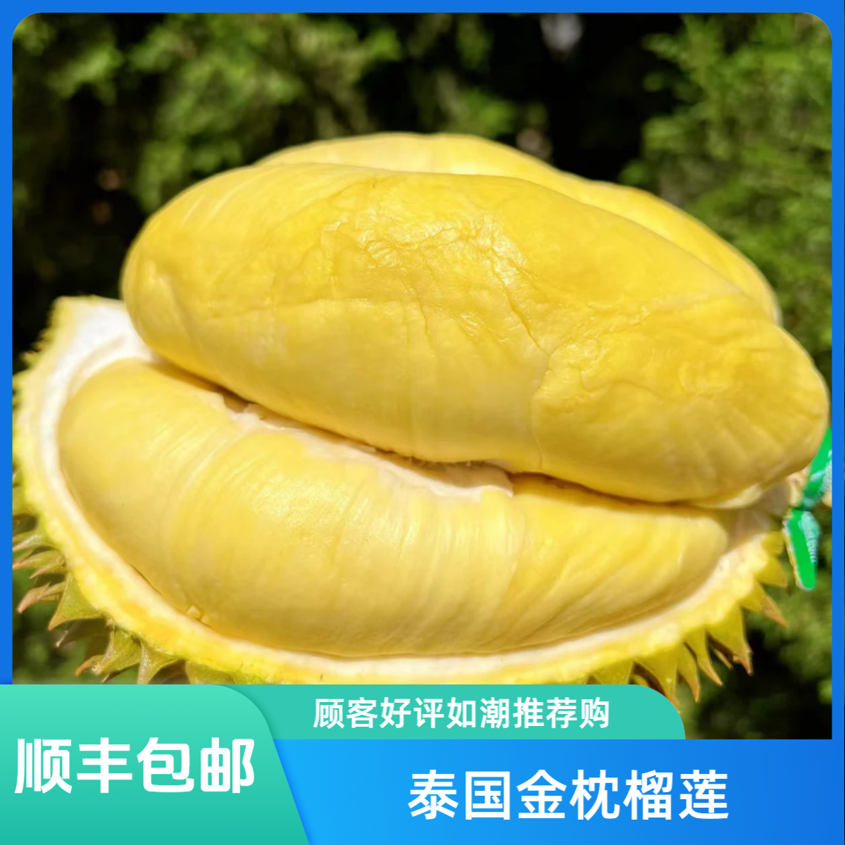 【阿瑞专属】一物一拍【泰国金枕鲜榴莲】顺丰发货生切不售后