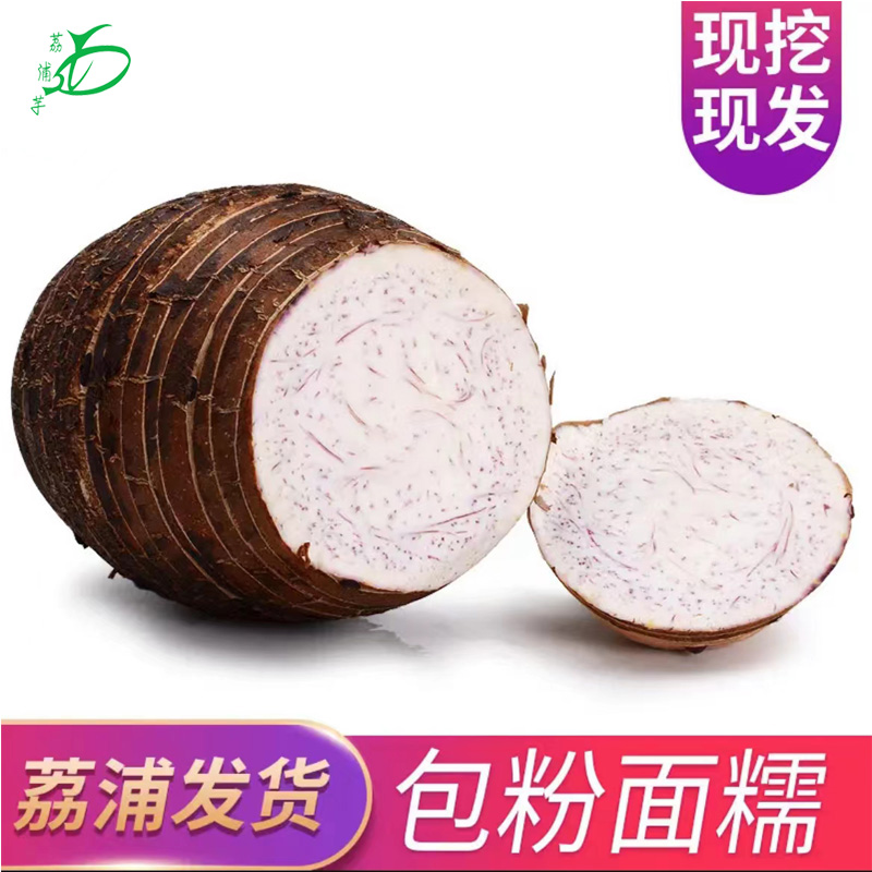 【顺丰包邮】正宗荔浦芋头新鲜农产品现挖现发2斤3斤5斤9斤香芋粉糯