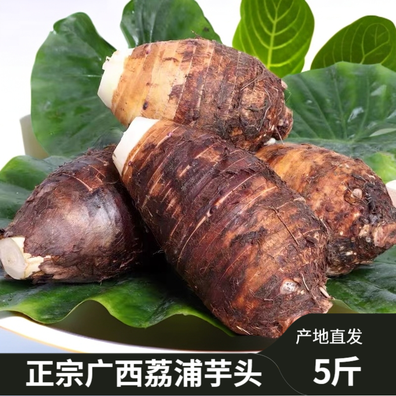 正宗荔浦芋头现挖现发原产地发货5斤收到去皮切块放冰箱冷冻保存