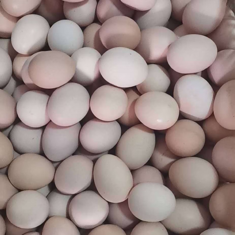 袁氏新农人黑鸡蛋（散装）500g