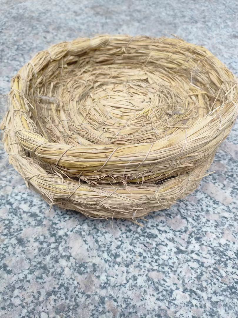 鸽子 鸽子窝 鸟窝 编织鸽子窝