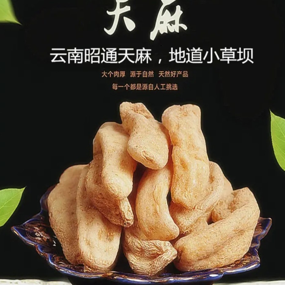 正宗云南昭通小草坝鲜麻500g一斤农产品中果特大果