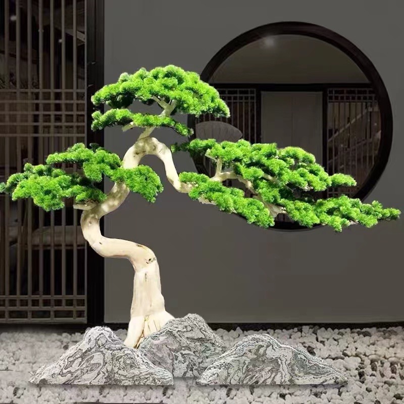罗汉松盆景树桩米叶珍珠雀舌真柏迎客悬崖矮霸造型庭院阳台客厅