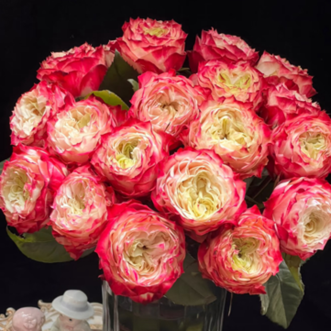 【香羿鲜花】苹果杰克玫瑰/全场任意满两单及以上包邮