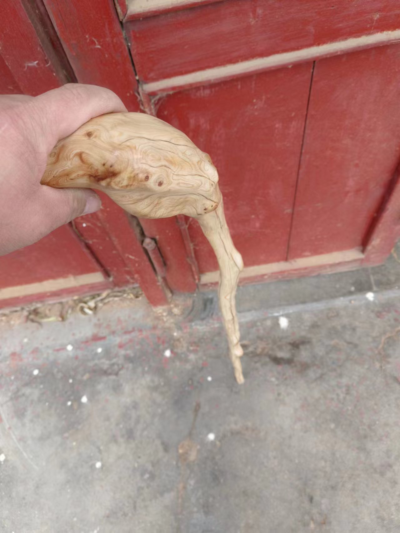 太行悬崖柏木独根拐杖根雕