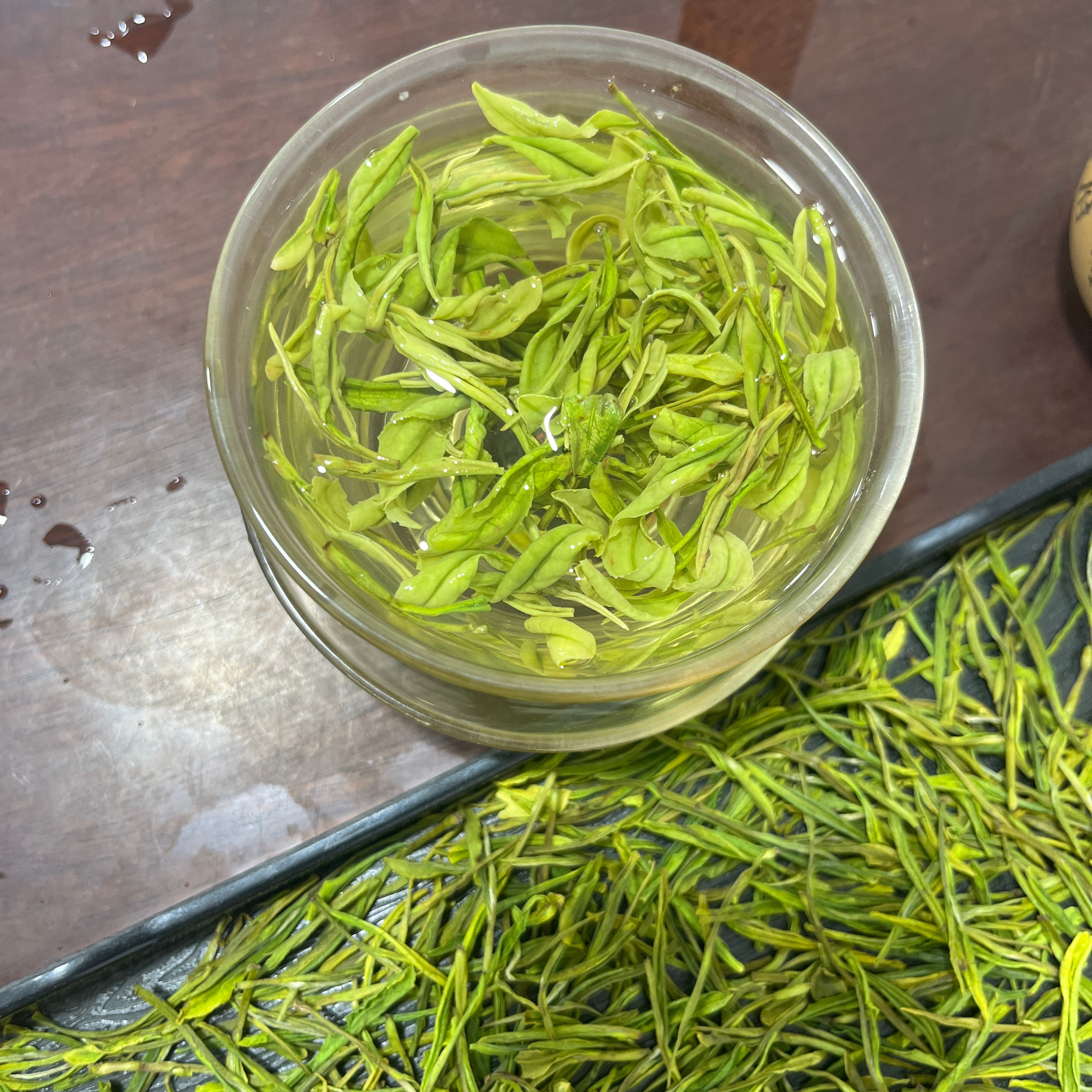 谢西坑黄亮高香高山白茶 半斤/一斤