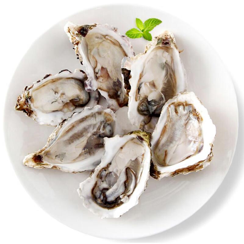 (10只) 乳山生蚝 （单个约100g)
