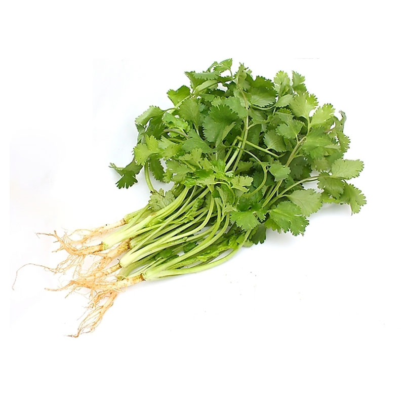 香菜 约50g