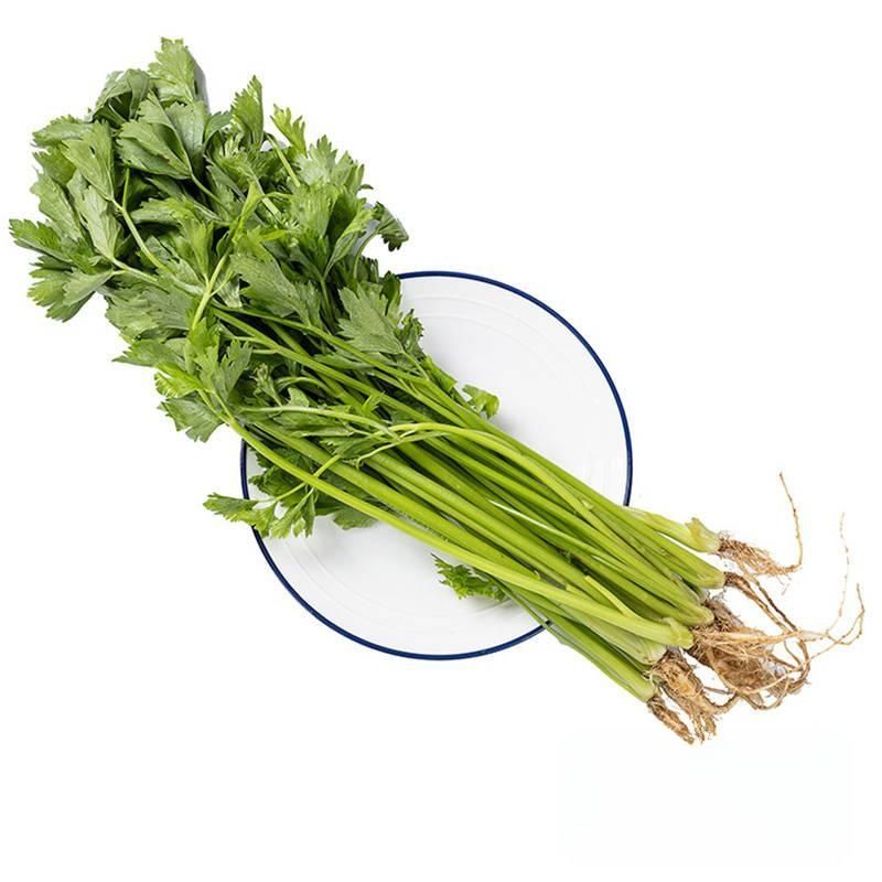 香芹菜 约350g