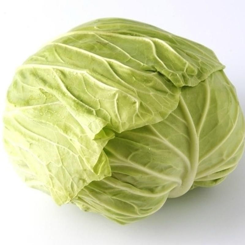 气包菜 约750g