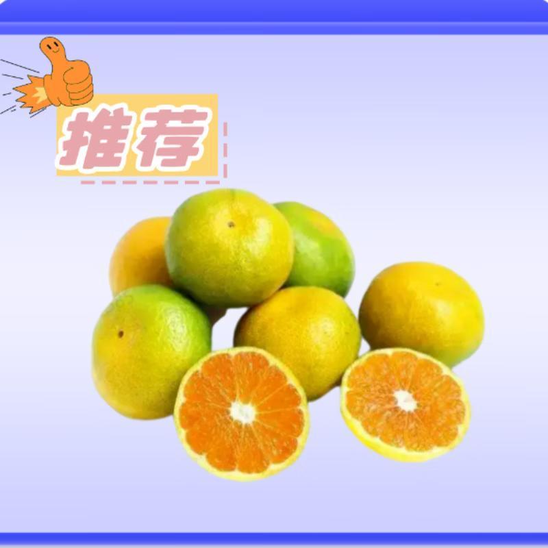 云南蜜桔 约250g