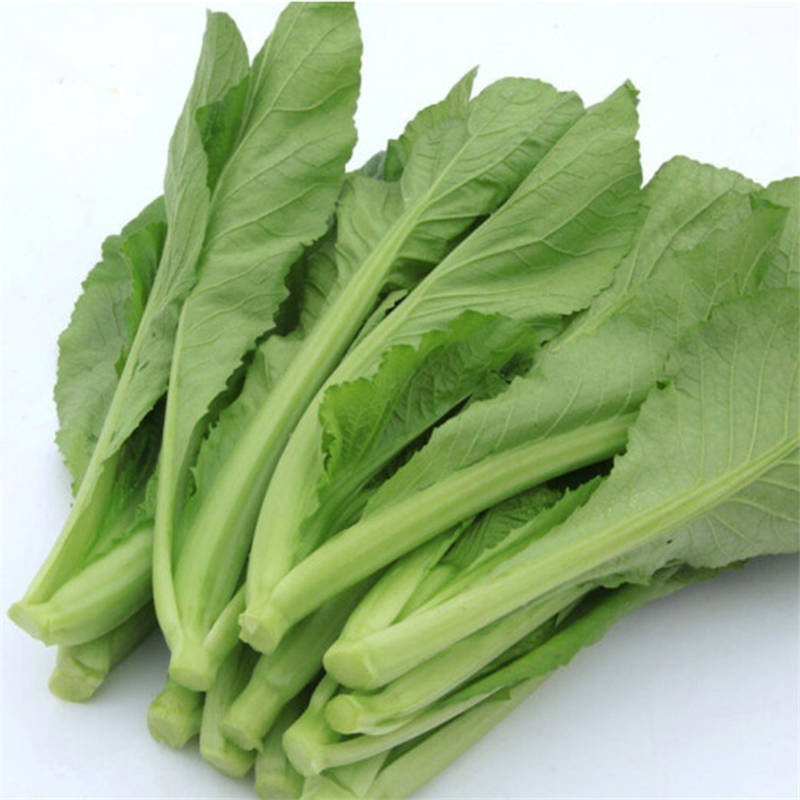 芥菜 约500g