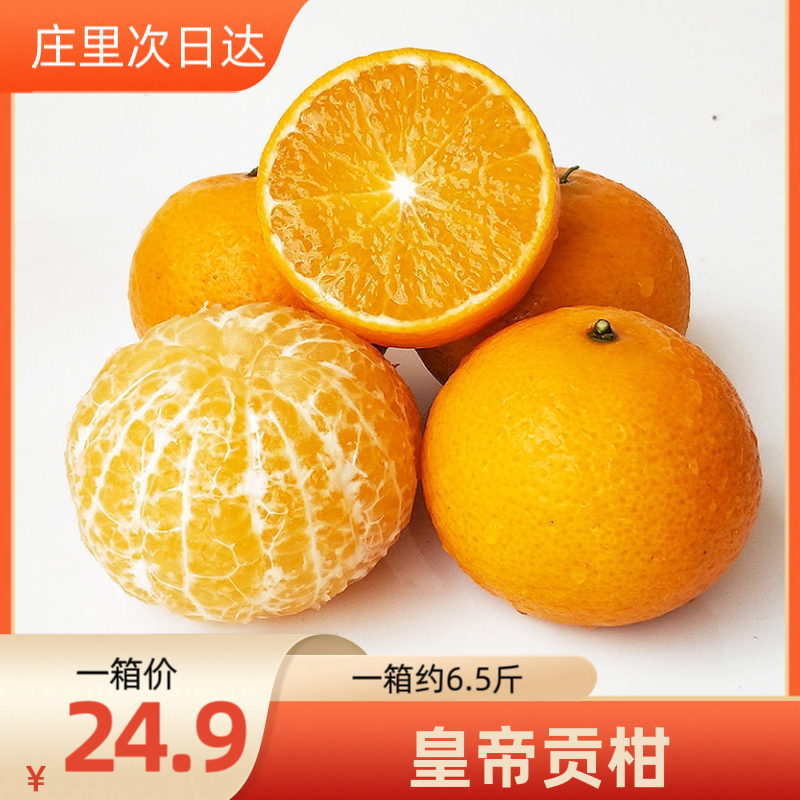 【约6.5斤】皇帝贡柑