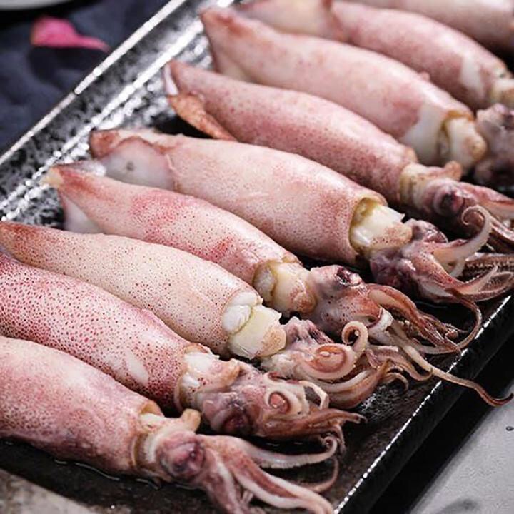 全母真籽（包带膏带黄）海兔2包 4包 一包10只