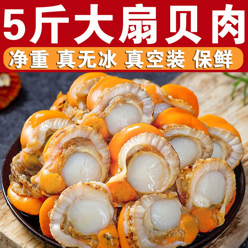 连云港发货 扇贝肉 新鲜冷冻野生扇贝肉 3斤