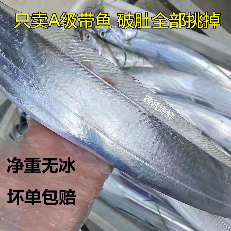东海带鱼 特大无冰带鱼 新鲜整条钓带鱼 一斤一条左右 5斤包邮